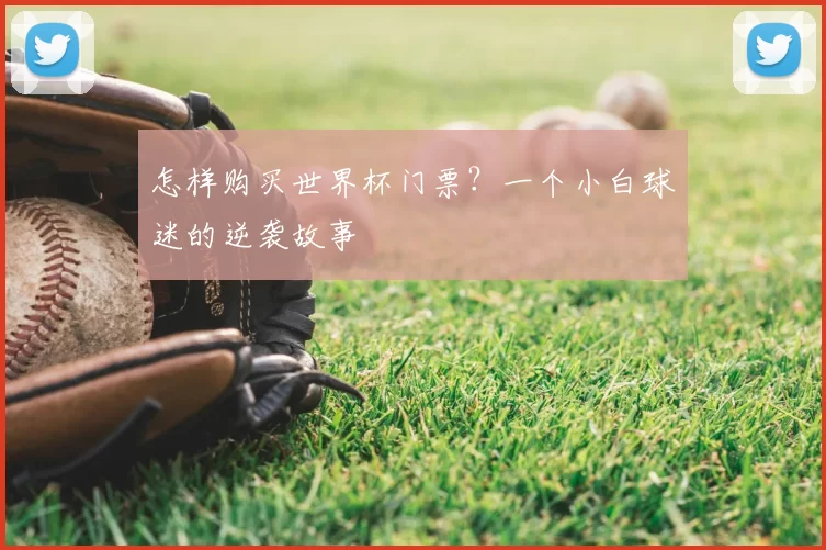 怎样购买世界杯门票？一个小白球迷的逆袭故事