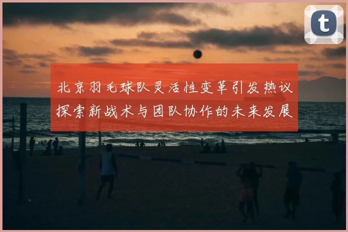 北京羽毛球队灵活性变革引发热议探索新战术与团队协作的未来发展