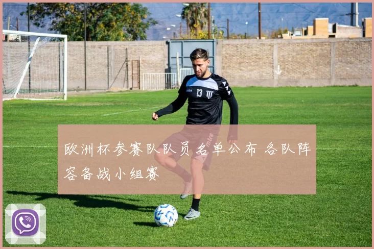 欧洲杯参赛队队员名单公布 各队阵容备战小组赛