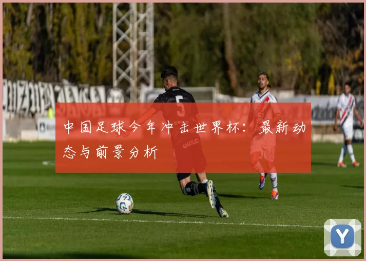 中国足球今年冲击世界杯:最新动态与前景分析