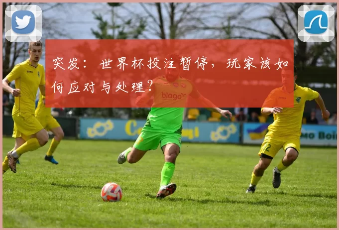 突发:世界杯投注暂停,玩家该如何应对与处理?