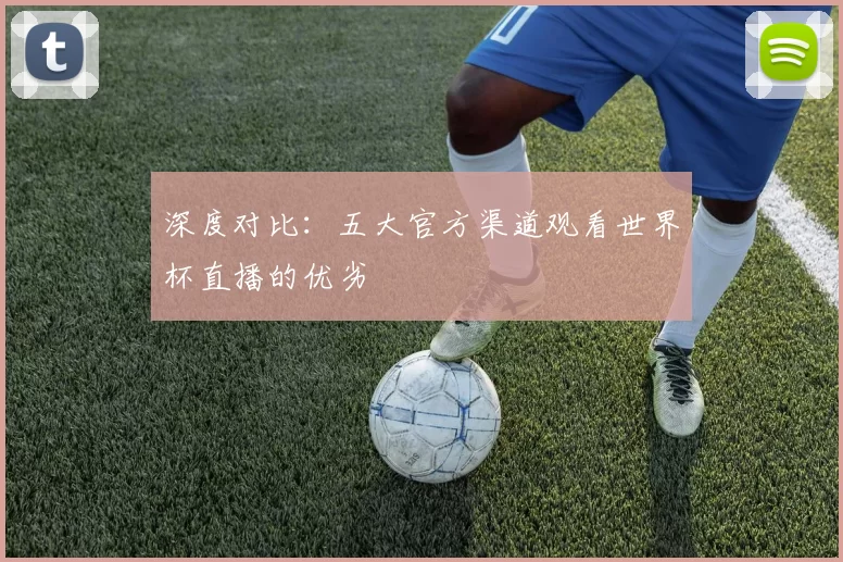 深度对比:五大官方渠道观看世界杯直播的优劣