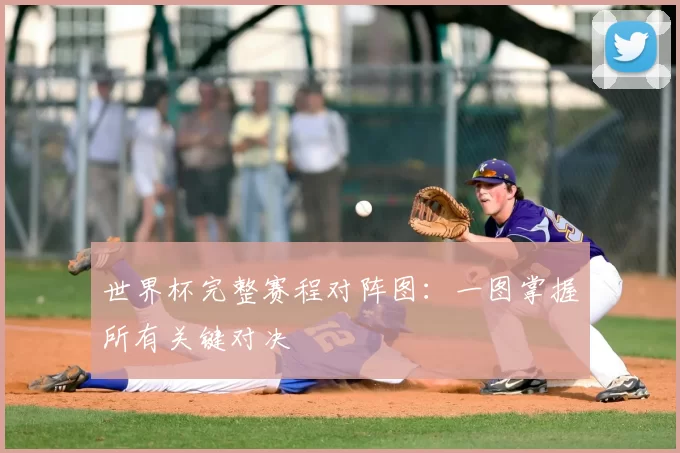 世界杯完整赛程对阵图:一图掌握所有关键对决